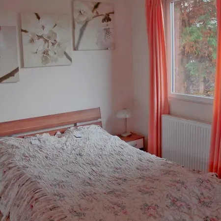 Dom wakacyjny Haus Zum Leuchtturm Vislust Niederlande Ijsselmeer